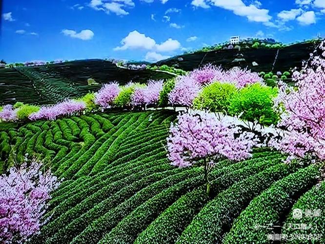 梵音鸣耳畔,诗意上清亭.妩媚悠长碧水浮游艇,金黄落