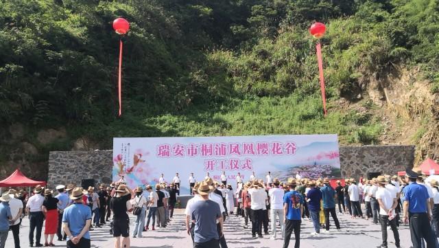赏樱期全国最长!瑞安桐浦千亩樱花谷启动建设